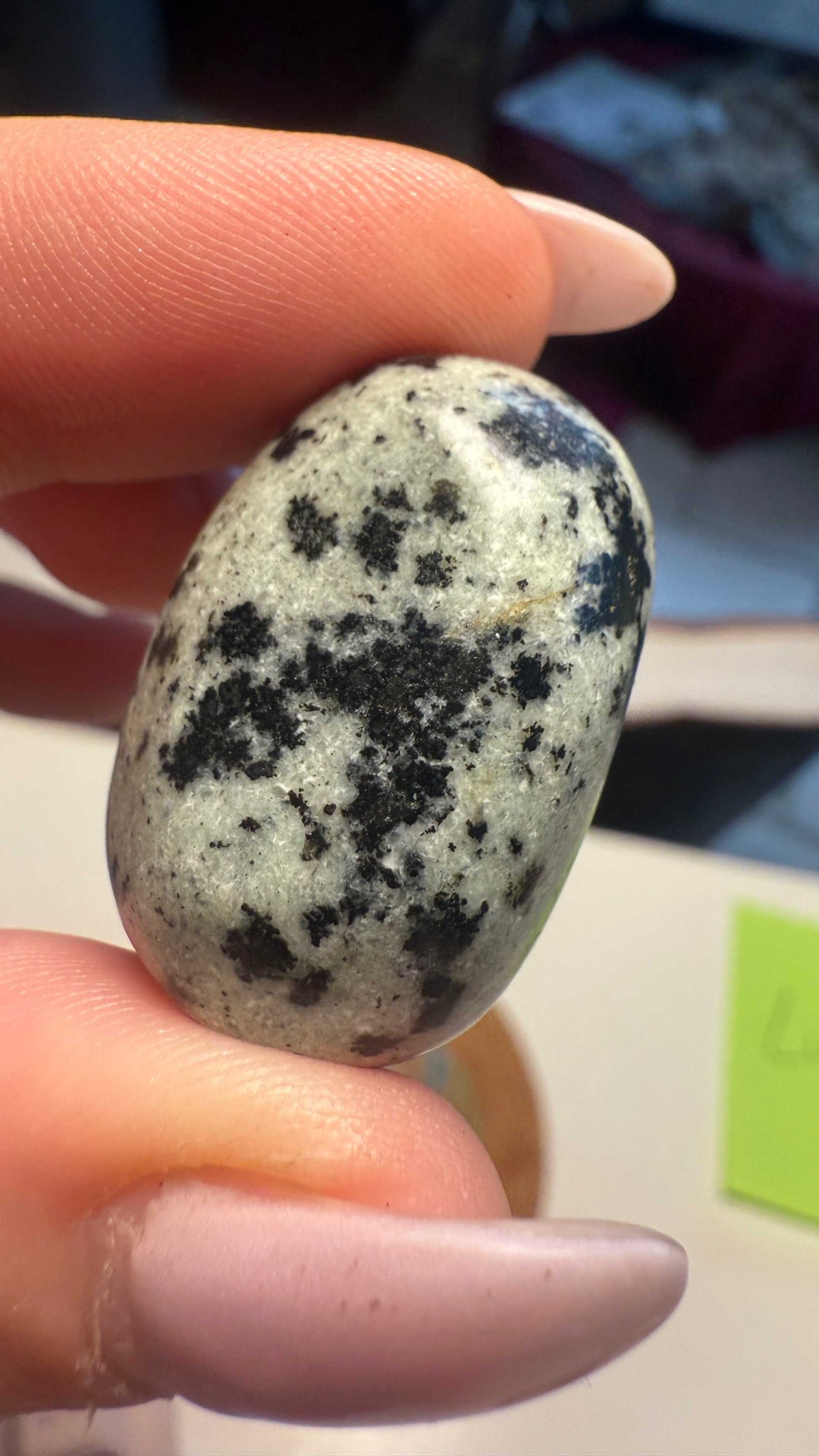 Greta Gabbro Tumbled Stone