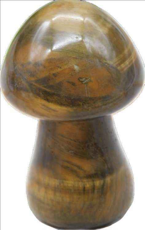 1.5” Tiger Eye Mushroom - Ultimate Stone of Balance