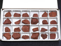 Red Jasper Rough Raw Stones (24 Pcs) Boxed Flat