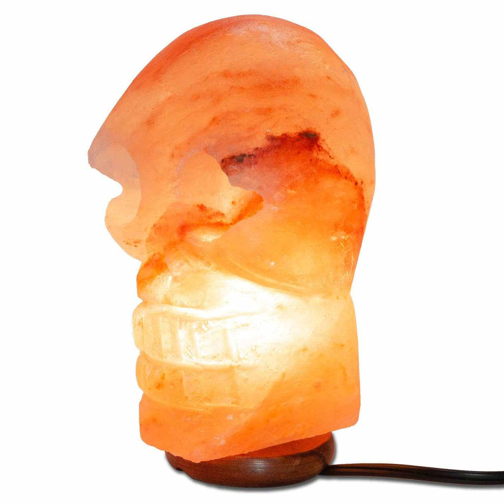 Skull Shaped Salt Lamp  - 9.5" avg. - Cord, Bulb, Dimmer