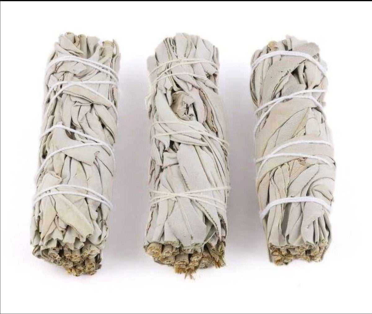White Sage Smudge Stick (4 in.)