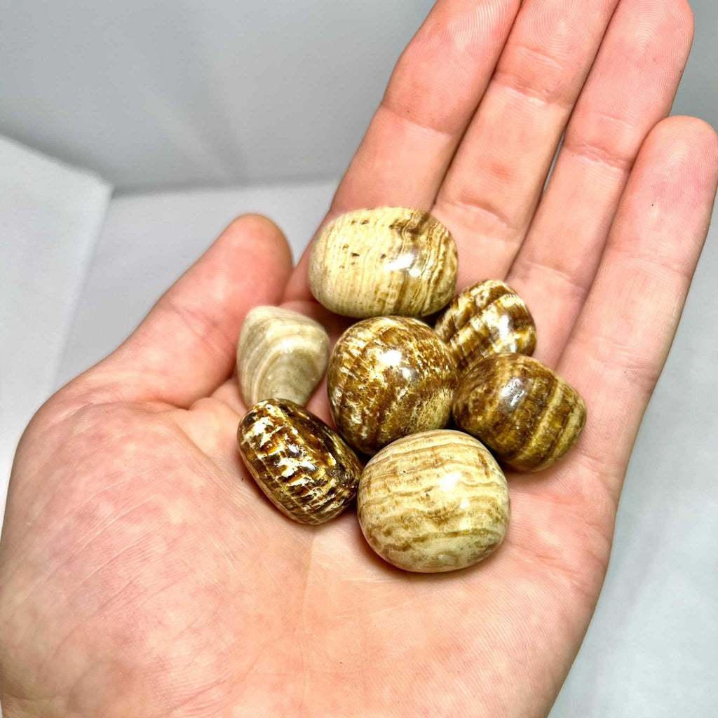 Aragonite Tumbled Stone