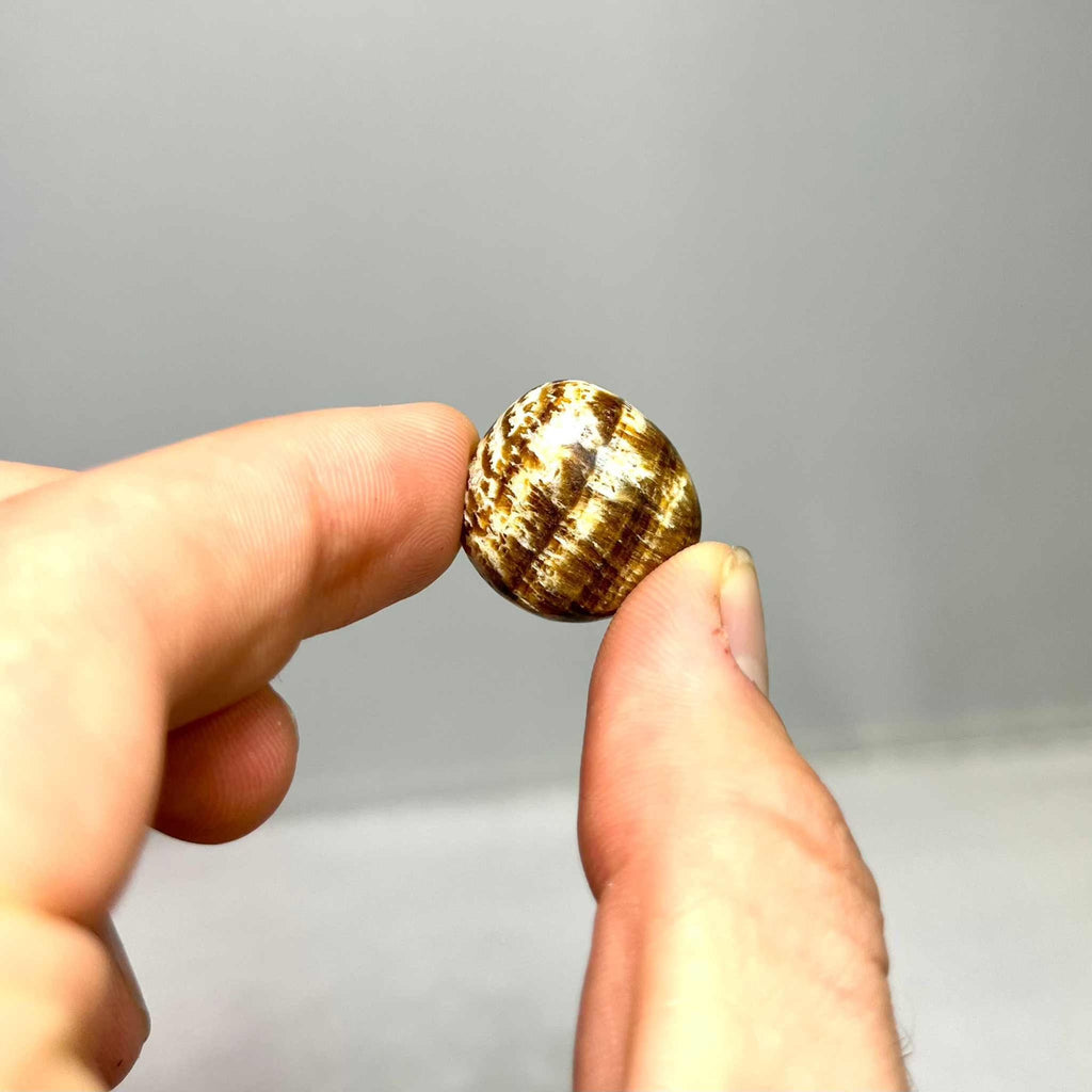 Aragonite Tumbled Stone