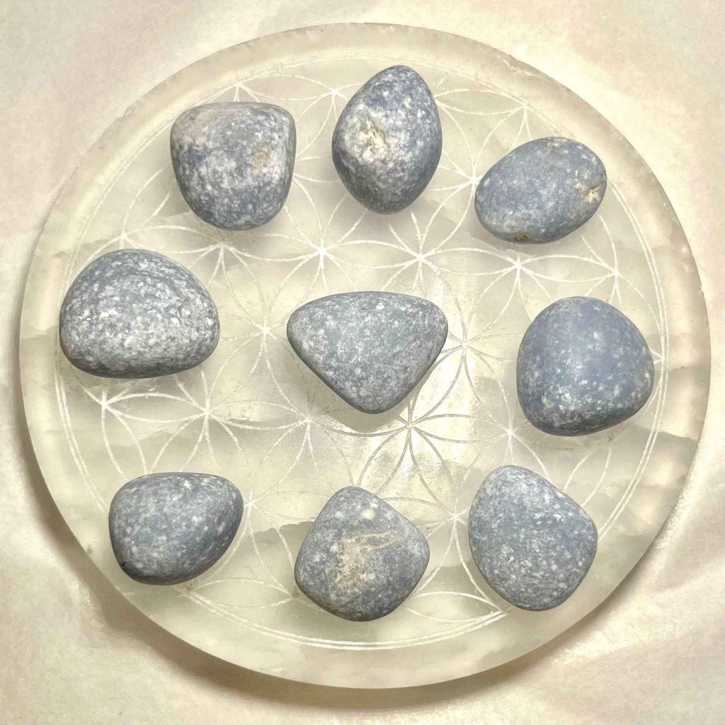 Angelite Tumbled Pocket Stone