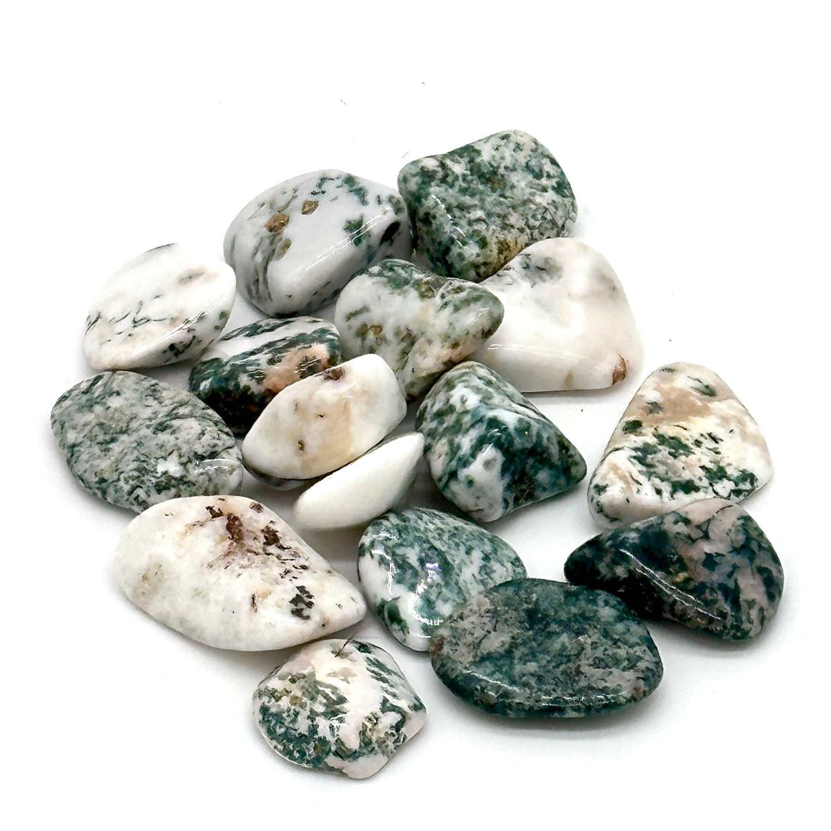 Tree Agate Tumbled Stone