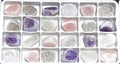 Assorted Crystal Emma Eggs (24 Pcs) Boxed Flat Wholesale Amethyst Rose Smoky Quartz