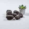 Tektite Rough Large Palm Stone Size Specimen
