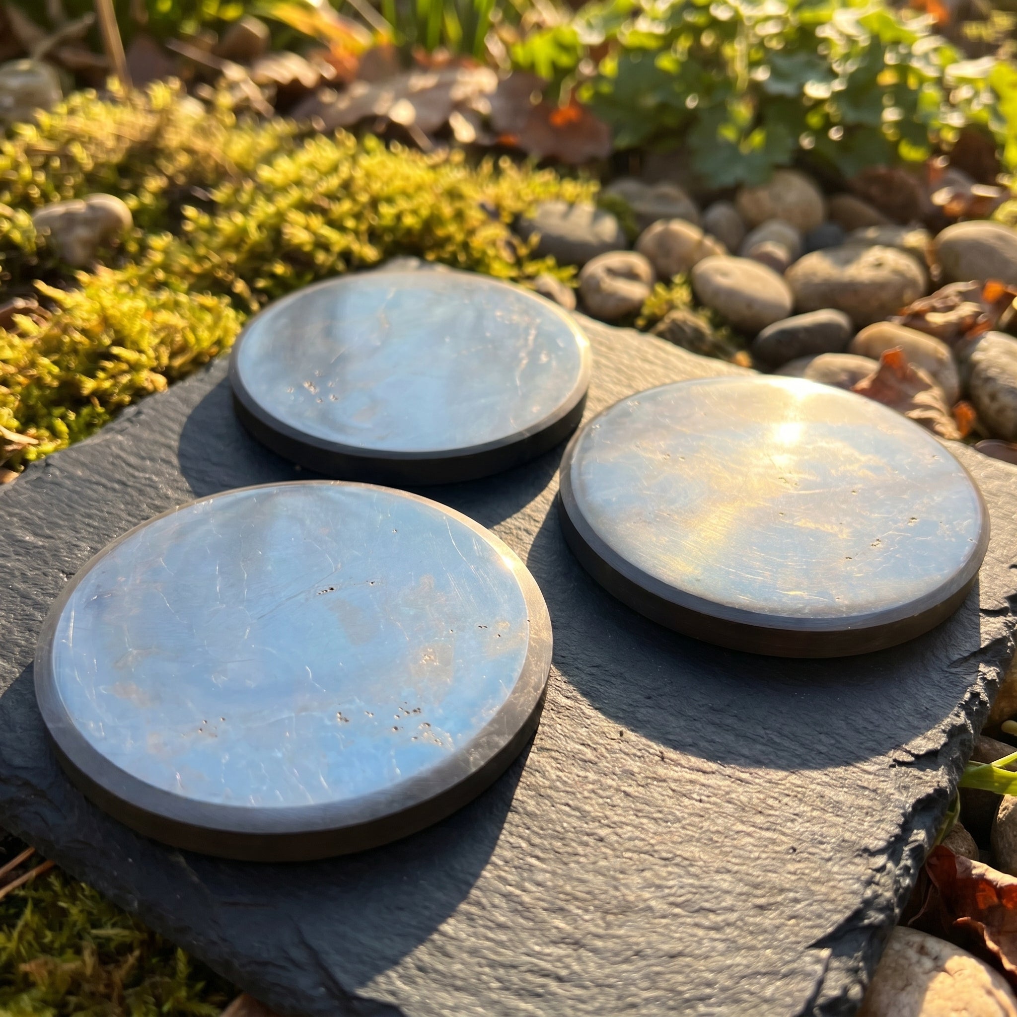 Black Shungite Polished Coaster Carving (3.5 Inch)