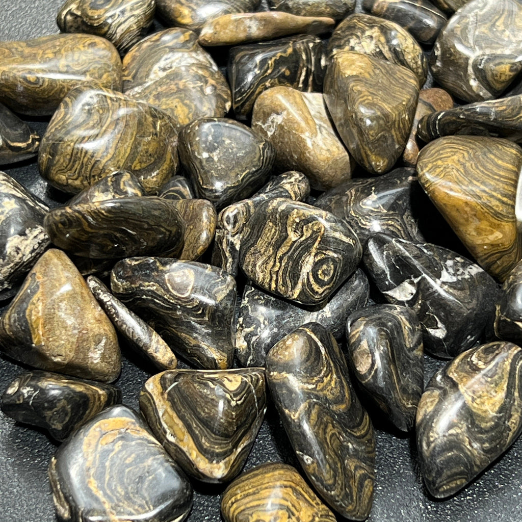 Stromatolite Fossil Tumbled Stones (By The Piece or Pound)