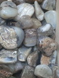 Peruvian Blue Opal Tumbled Stone